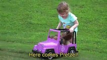 Cute Toddler Genevieve Plays with her new Toy Car at the Park-