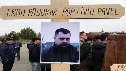 Los rumanos denuncian la tala ilegal en los Montes Cárpatos, al norte del país