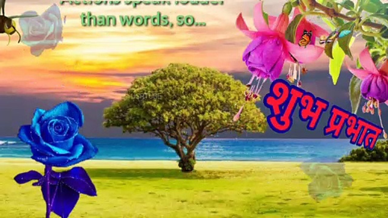 Good Morning video|| good morning wishes