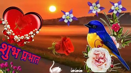 Good Morning video || Good Night wishes