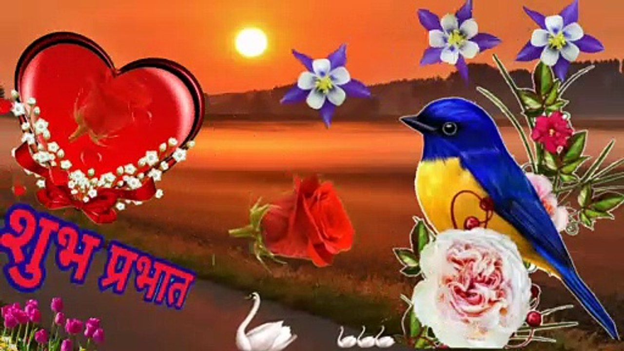 Good Morning video || Good Night wishes