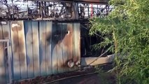 Incêndio no Zoo de Krefeld mata mais de trinta animais