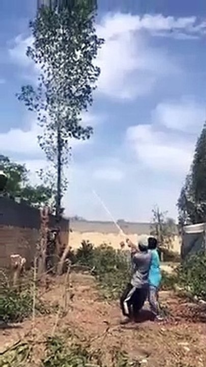 Un instant karma pour deux mecs qui ont abattu un arbre