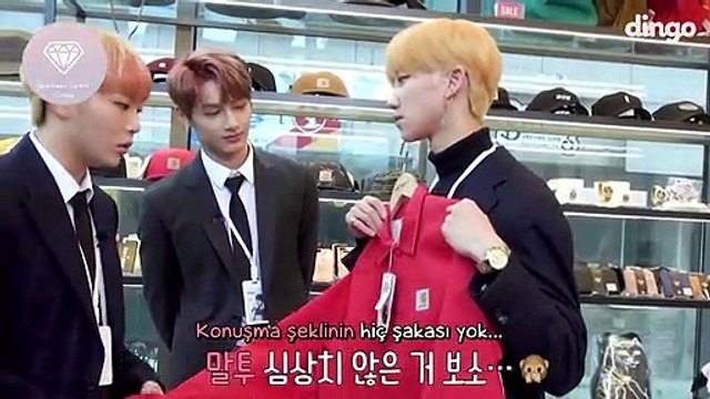 [Türkçe] Seventeen - Dingo Flower Intern 171202