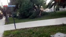 Andria: albero storico si spacca e collassa, bicicletta distrutta. Cosa è accaduto in villa comunale il primo dell'anno? Il video