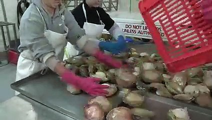 Negócio familiar _ Caçadores das Profundezas _ Discovery Brasil_low