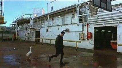 La vida secreta de las palabras (Trailer)