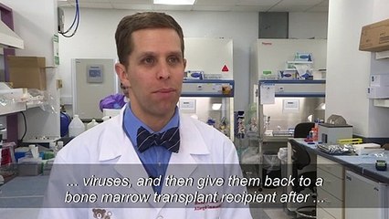 US: The 'supercells' that cured an infant's grave genetic illness