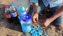 Experiment- Coca Cola, Pepsi, Fanta and Mentos Vs Eels Underground _ Amazing Lif_low