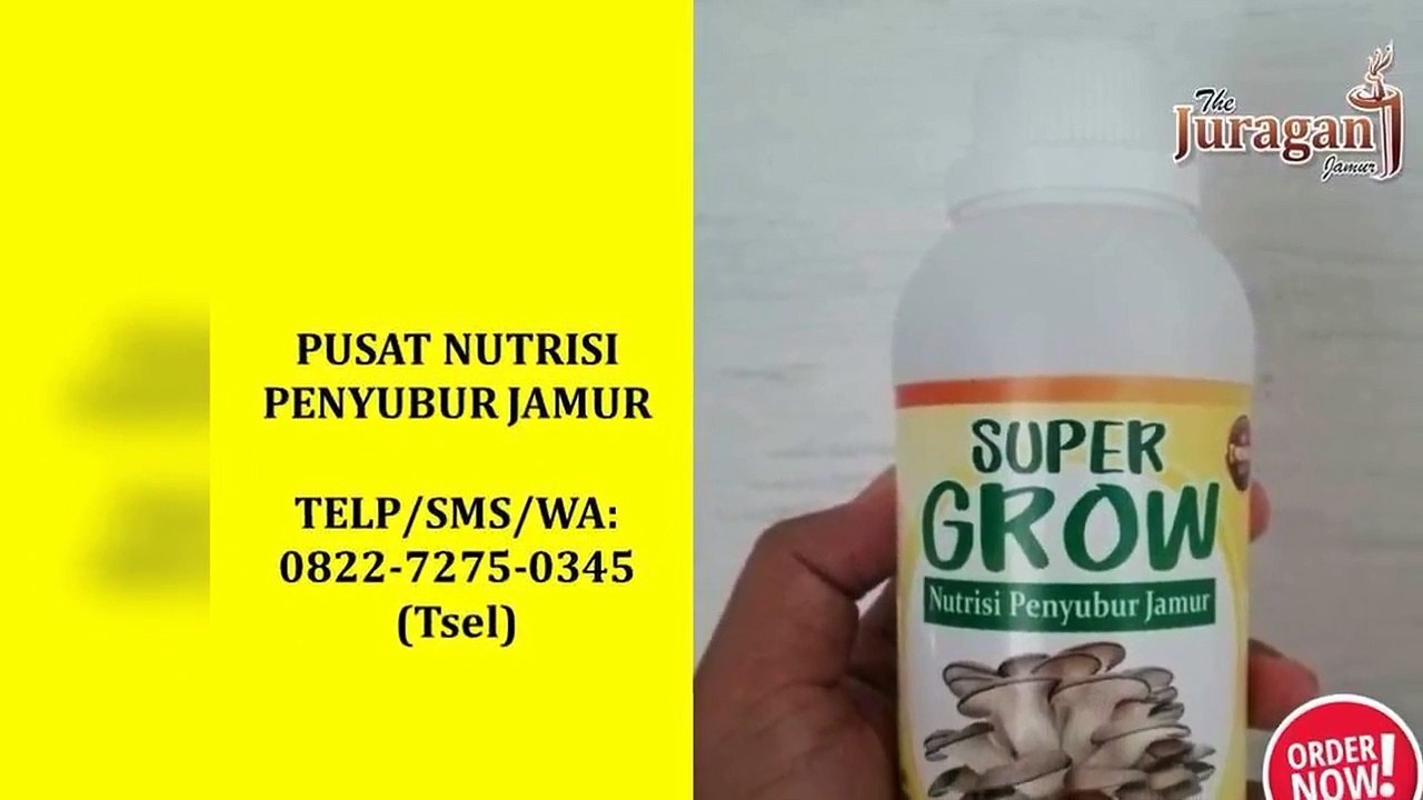 TERMURAH! TELP/SMS/WA : 0822-7275-0345 (Tsel), Agen Suplemen Perangsang Pertumbuhan Jamur Tiram Denpasar Bali,