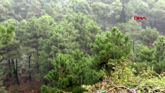 Aydos ormanı'na lapa lapa kar yağdı