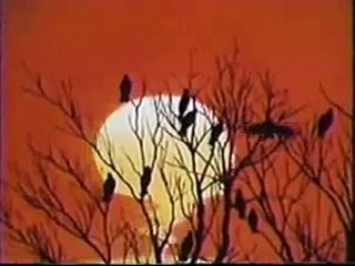 THIS IS HALLOWEEN AMV