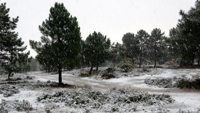 Kar yağışıyla beyaza bürünen Aydos Ormanı havadan görüntülendi