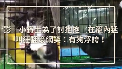 CollectionVideo-petmao_curation-PetsMaoParser-2020/01/01-09:30