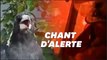 Les incendies en Australie ont même transformé le chant de ce passereau