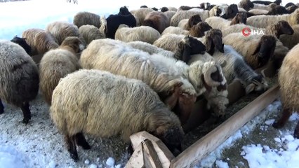 Muş’taki dağ köyleri kar altında kaldı