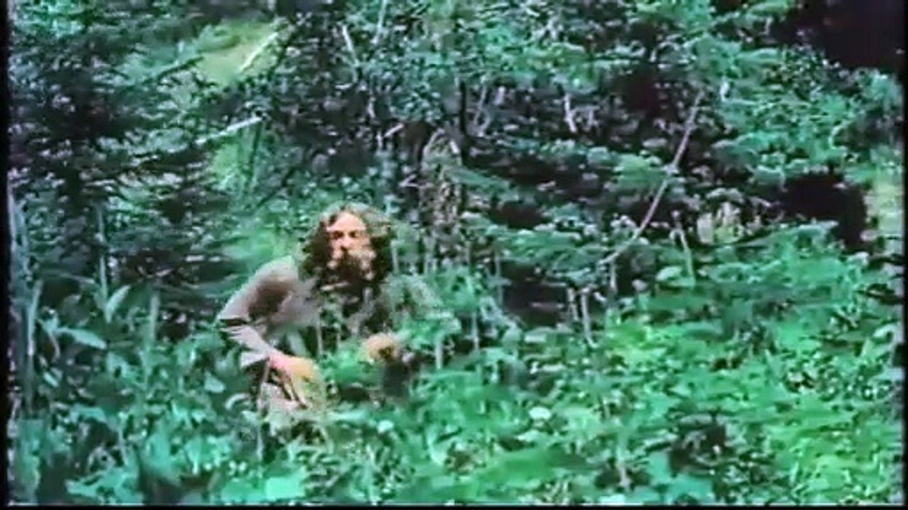 Buffalo Rider Trailer