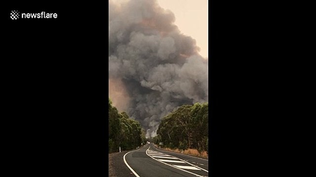 Large plumes of smoke envelop landscape in New South Wales controlled fire