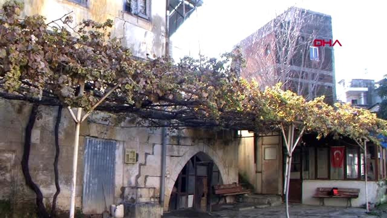 Mersin-tarsus'ta asma, ocakta üzüm verdi