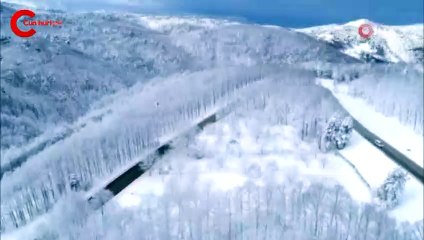 Manzarayı kaydetmek isterken bir anda ortaya çıktılar