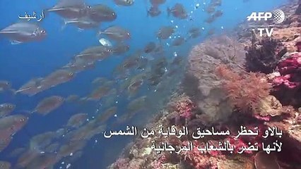 بالاو تحظر مساحيق الوقاية من الشمس لأنها تضر بالشعاب المرجانية