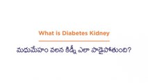 Diabetic Nephropathy | మధుమేహం వలన కిడ్నీ ఎలా పాడైపోతుంది? | Telugu Health Tips | Yashoda Hospitals