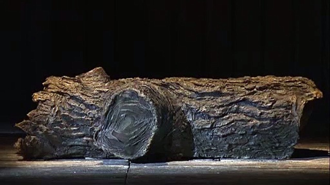 Les aventures de pinocchio en francais