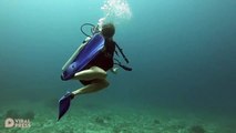 Huge Manta Ray Glides Past Scuba Divers