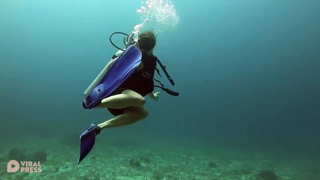 Huge Manta Ray Glides Past Scuba Divers