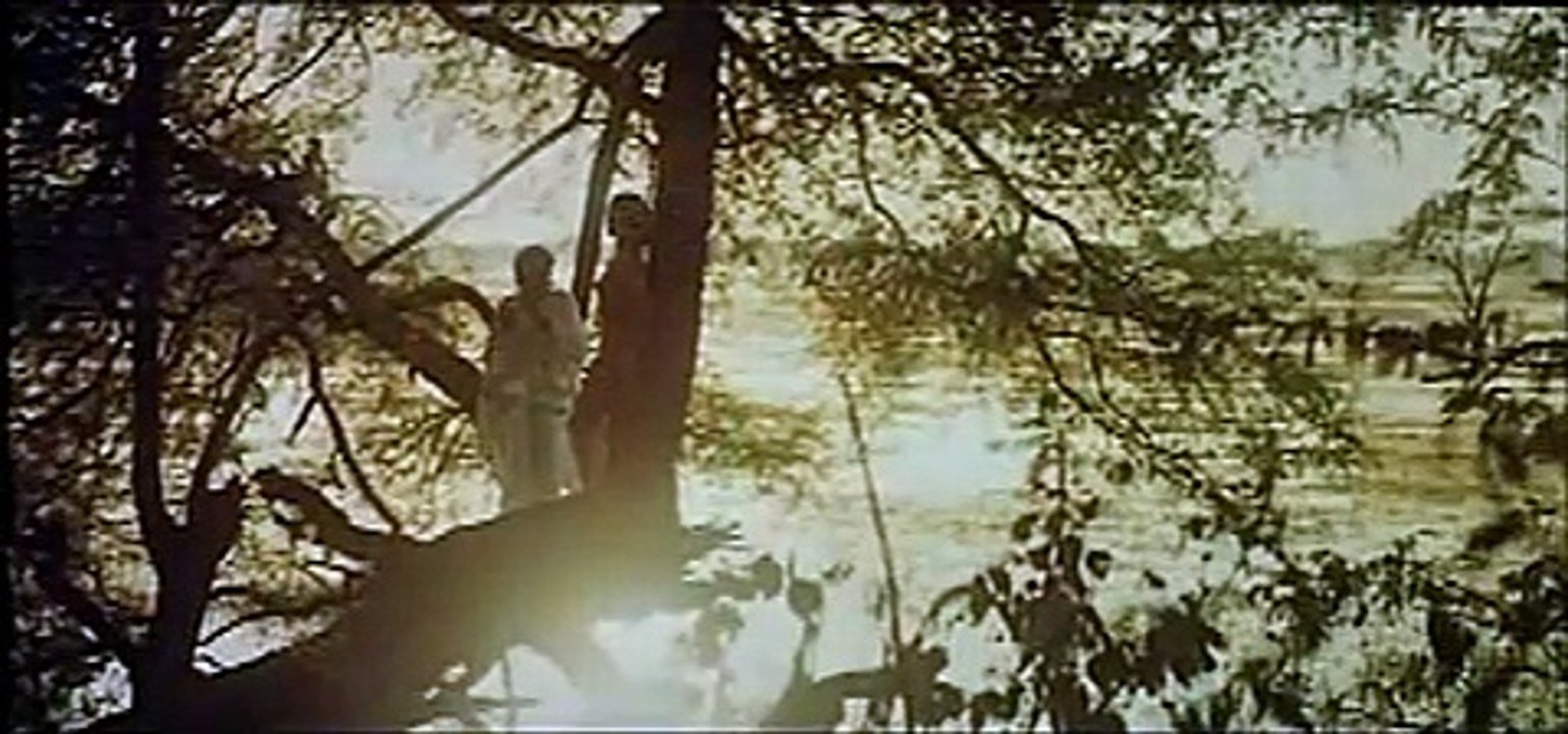 Siddhartha Trailer DivX