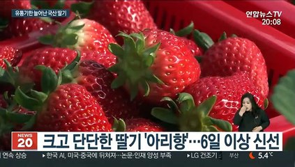 "이젠 딸기도 택배시대"…유통기한 긴 신품종 개발