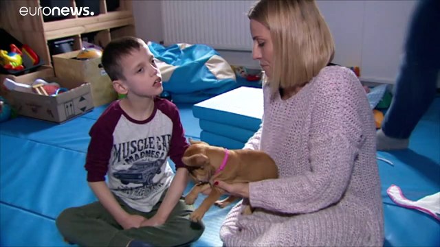 Собака - подарок на Новый год