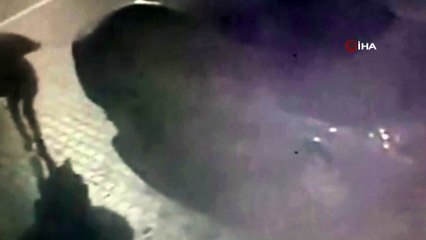 Jandarma, hırsızlık zanlısını ayakkabısındaki çizgiden yakaladı