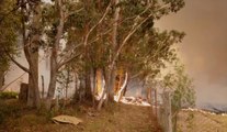 Incendies en Australie : L'armée intervient