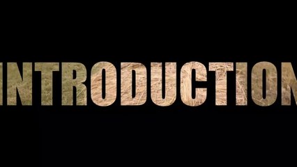 [Hindi] Ashish Ke Vlog Introduction | Know more about me ...