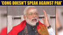 PM Modi defends CAA, accuses Cong of not speaking against Pakistan | OneIndia News