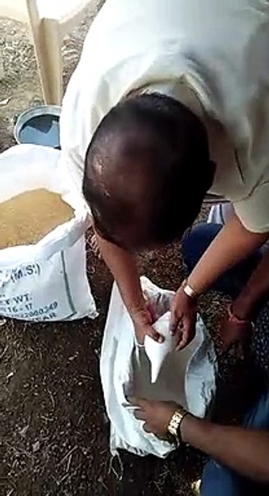 असली शंख का करामात / असली शंख कभी भी चावल मे नही दबता / यह करामात आप स्वयं अपनी आंखों से  देख लीजिये / असली शंख का यह रहस्य न आपने सुना होगा न देखा होगा पर आज देख लीजिये