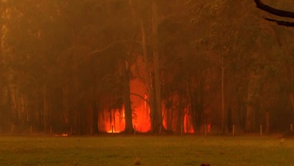 호주 최악의 산불...비상사태 선포 / YTN