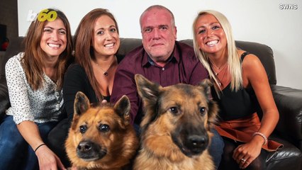 Doggie Delight! Empty Nest Leaves One Dad Rescuing Multiple Dogs In Need!