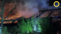 30 animaux d'un zoo sont morts dans un incendie au Nouvel An