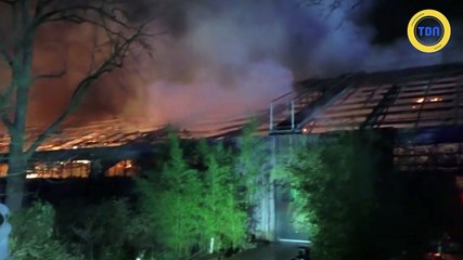 30 animaux d'un zoo sont morts dans un incendie au Nouvel An