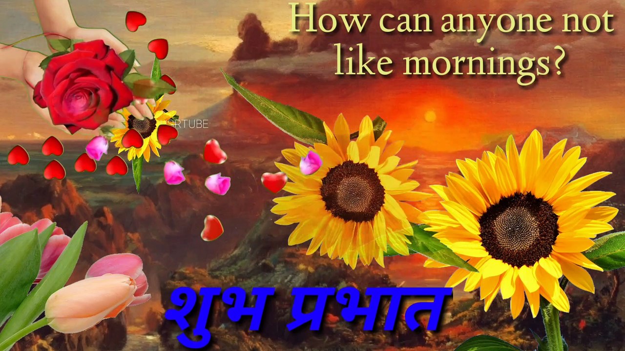 Good Morning video
