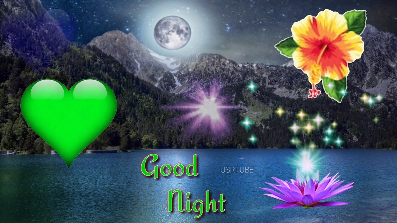 Good Night video