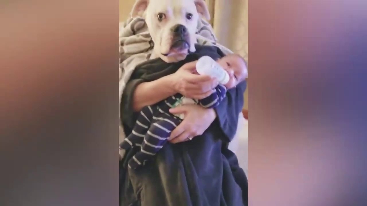 BEST_MOMENTS_CAPTURED_BABY_AND_DOG