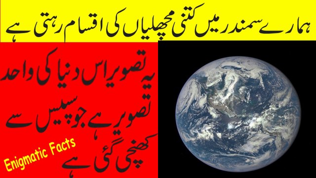 Analysis Of Sea,s Deepness | How Much Water In Sea | Real Image Of Earth | Number Of Fishes kinds In Sea | Illegal Names Of Sweden Country | Lambergini Speed Vs Cheetah Speed | And Other Infinity & Beyond Science Facts EP # 3 |