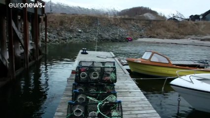 Rekordmeleg január Norvégia középső részén