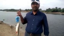 Fish Hunting | Madhava Reddy Dam Fishing | Nalgonda Fishing | Indian Fishing