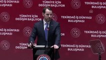 Bakan Albayrak: 