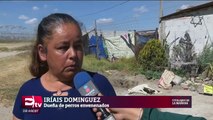 Ladrones envenenan a perros para entrar a robar casas en Puebla