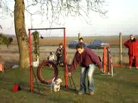 Brucchio - Agility le 9 fevrier 2008 - 20 obstacles !